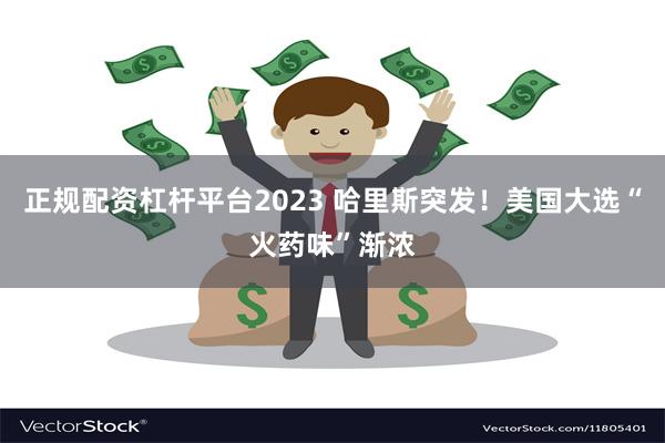 正规配资杠杆平台2023 哈里斯突发！美国大选“火药味”渐浓