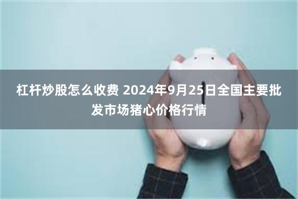 杠杆炒股怎么收费 2024年9月25日全国主要批发市场猪心价格行情