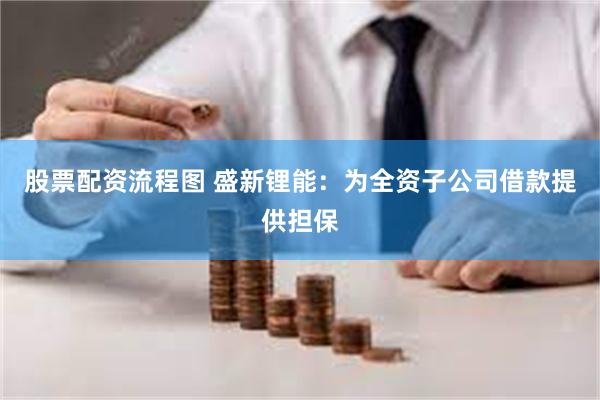 股票配资流程图 盛新锂能：为全资子公司借款提供担保