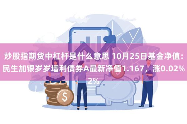 炒股指期货中杠杆是什么意思 10月25日基金净值：民生加银岁岁增利债券A最新净值1.167，涨0.02%