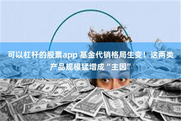 可以杠杆的股票app 基金代销格局生变！这两类产品规模猛增成“主因”