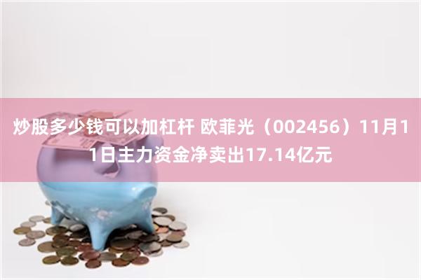 炒股多少钱可以加杠杆 欧菲光（002456）11月11日主力资金净卖出17.14亿元