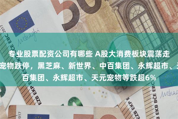 专业股票配资公司有哪些 A股大消费板块震荡走低！桂发祥、源飞宠物跌停，黑芝麻、新世界、中百集团、永辉超市、天元宠物等跌超6%